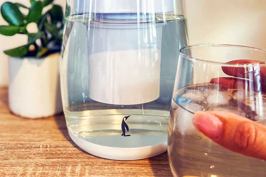 Unveiling the Benefits of the Gentoo Glass Water Filter Pitcher